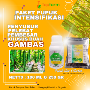 Pupuk Pelebat Buah Oyong / Pupuk Booster Oyong / Pupuk Buat Oyong Emes / Pupuk Cair Pelebat Oyong / Pupuk Gambas Oyong
