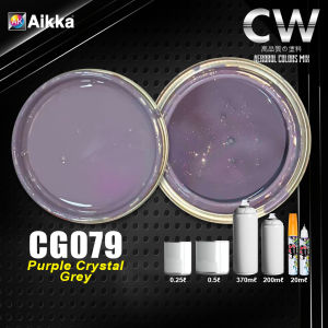 Crystal Grey Series Paint Cat 2K Touch Up Paint Aerosol DIY Cat Spray Kristal Motor Kereta Aikka