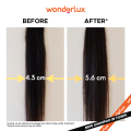 Wonderlux Bring Me To Life! Shampoo to Volume & Repair Hair Damage For Sensitive Scalp Sampo Rambut Rusak Patah Kering 250ml Shampoo SLS & SLES FREE. 
