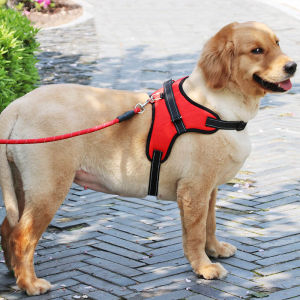 Reflective Dog Harness Adjustable Nylon Harness Collar Leash Dog Leads for Large Dogs