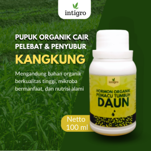 Pupuk Penyubur Tanaman Kangkung / Pupuk Kangkung Darat / Pupuk Kangkung Hidroponik / Pupuk Kangkung