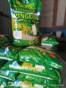 BIBIT BENIH PADI PREMIUM VARIETAS INPARI 49 BERAT