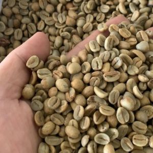 ( 300gram ) Biji Kopi Mentah
