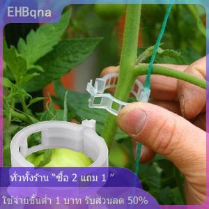 [COD] EHBqna KITCHEN ruyifang 50Pcs Trellis คลิปมะเขือเทศรองรับเชื่อมต่อพืชผักตัวยึด