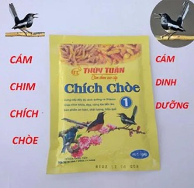 COMBO%2010%20T%C3%9AI%20C%C3%81M%20DINH%20D%C6%AF%E1%BB%A0NG%20CHO%20CHIM%20CH%C3%8DCH%20CH%C3%92E-TH%E1%BB%A8C%20%C4%82N%20CHO%20CHIM%20CH%C3%8DCH%20CH%C3%92E%20THAN%20-%20Image%203