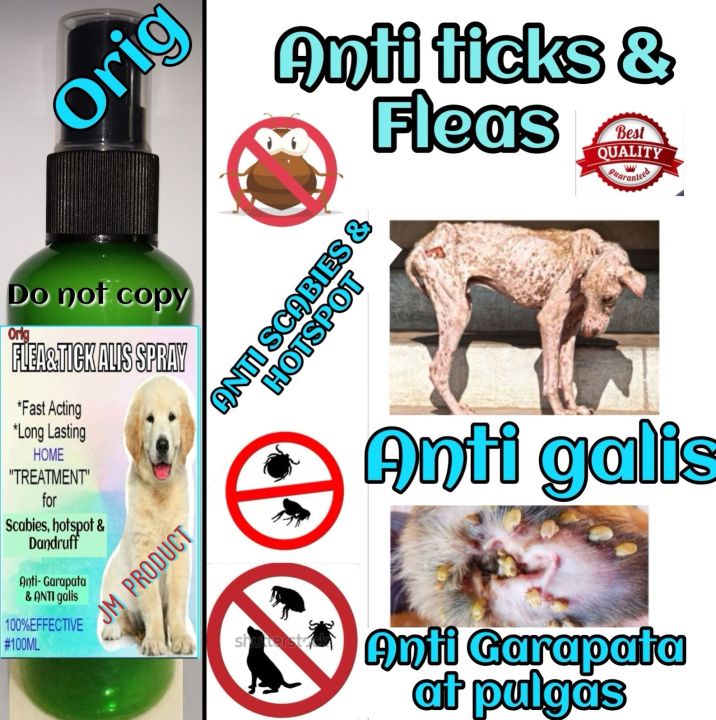 GARAPATA PULGAS GALIS AT BALAKUBAK TREATMENT FOR DOG Authentic 100 ML GREEN BOTTLE Lazada PH