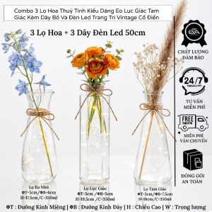 Bộ 3 Bình Hoa Thủy Tinh Trang Trí Dáng Eo Lục Giác Tam giác Decor Bàn Làm Việc Phòng Khách Kèm Ðèn Led Phong Cách Bắc Âu Vintage