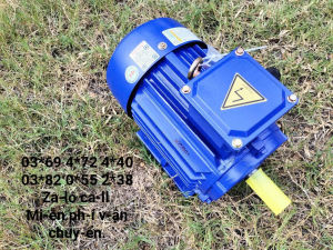 Động cơ 3pha 3hp - 22kw tua nhanh 3000v/p hàng Việt Nam chất lượng cao