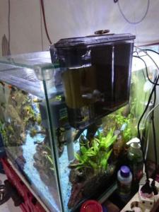 Filter Gantung Aquarium Nikita Star NS 06 Untuk Aquascape Atau Akuarium Sedang Aksesoris Pompa Waterpump Hanging Full Set Penjernih Air Penyedot Kotoran Tanpa Kuras Sirkulasi Produk Original Murah