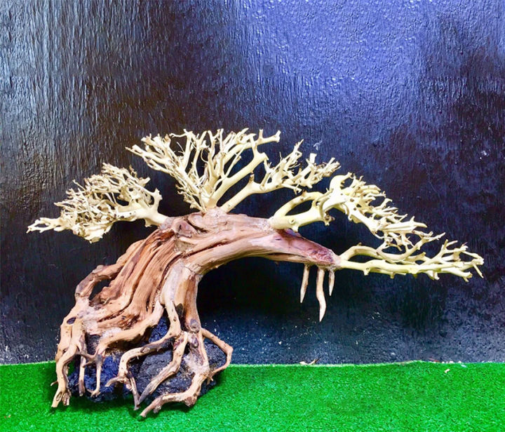 L%C5%A9a%20bonsai%20th%E1%BB%A7y%20sinh%20trang%20tr%C3%AD%20b%E1%BB%83%20c%C3%A1%20c%C3%A2y%20l%C5%A9a%20h%E1%BB%93%20c%C3%A1%20th%E1%BB%A7y%20sinh%20bonsai%20g%E1%BB%97%20l%C5%A9a%20th%E1%BB%A7y%20sinh%20-%20Image%206