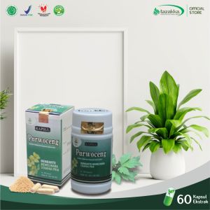Kapsul Purwoceng Herbal Stamina
