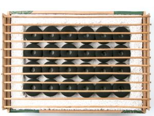 Eco Friendly BBQ Everywhere Pit Box (Instant Fire Quick Setup Portable Bio degradable Disposable Indoor Outdoor)