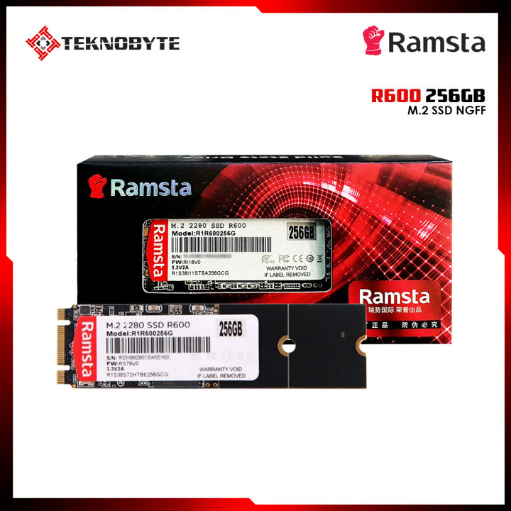 Ramsta R600 M.2 256GB SSD | Lazada PH