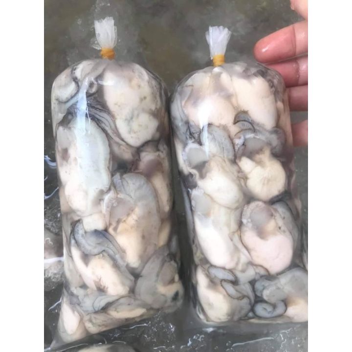 Hào sữa tách vỏ 500g (giao Hoả tốc tphcm)