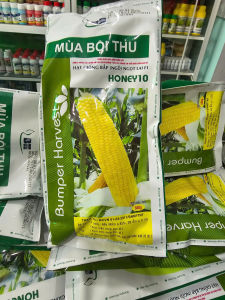 gói 500gr Hạt giống bắp vàng HONI 10 BỘI THU