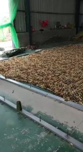 Camouflage สุทธิตกแต่งสีเขียวรถป่าเต็นท์ Camping Shelters ผ้าใบกันน้ําแบบพกพาพับกันสาด Tarp บ้านสวนกระจก