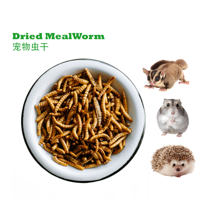 50/100g Dried Meal Worm, Bread Worm Pet Food for Fish, Birds, Hamster,  Reptiles, hedgehog, Tortoise, frog, chicken