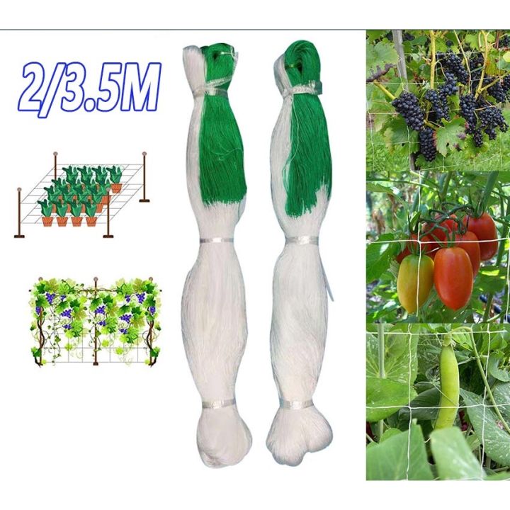 Support Net Plant Support For Pea Trellis 2MX100M/3.5M*100M Climbing ...
