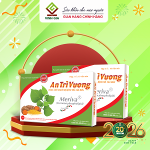 Viên Uống An Trĩ Vương Hỗ trợ Cải Thiện Tình Trạng Trĩ Táo Bón Giảm Đau Rát An Toàn Cho Phụ Nữ Mang Thai (Hộp 30v)