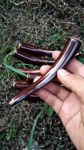 pipa cangklong kayu gali asem super lengkung