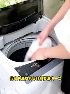 【SG Stock】Seaways washing machine cleaner Washing machine deodorizing washing machine drum cleaner washing machine descaling 洗衣機槽清洗劑