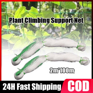 【COD + Local Seller】Garden Plant Climbing Net cucumber vegetables trellis net White Nylon Support Mesh 2MX100M