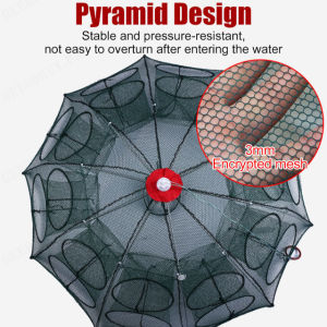 Lanrui Shrimp Cage Fish Net Umbrella Net Crab Cage Eel Cage  Fishing Gear for Outdoors
