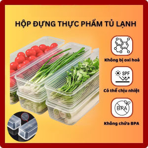 Hộp nhựa đựng thực phẩm tủ lạnh Hộp trữ đông bảo quản rau hoa quả mì đồ ăn nhựa an toàn sức khoẻ