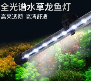 Lampu LED CELUP AQUARIUM AQUASCAPE AKUARIUM UKURAN 20 30 40 50 60