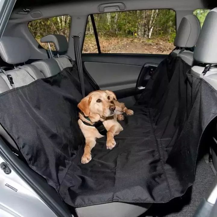 Car accessories for dogs hotsell