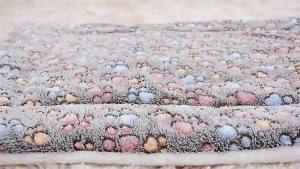 Dog Bed Cat Mat Soft Coral Fleece Thicken Warm Sleeping Beds for Small Medium Dogs Cats