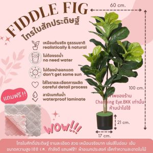 🔥คูปองส่งฟรี🔥 ไทรใบสักประดิษฐ์ ความสูง 100 cm. ปลอมยังไง? ให้เหมือนจริง ใบอ่อน-เข้ม ผลิตจากลามิเนทกันน้ำ แถมฟรี!! ผ้าเช็ดอเนกประสงค์ ❤️
