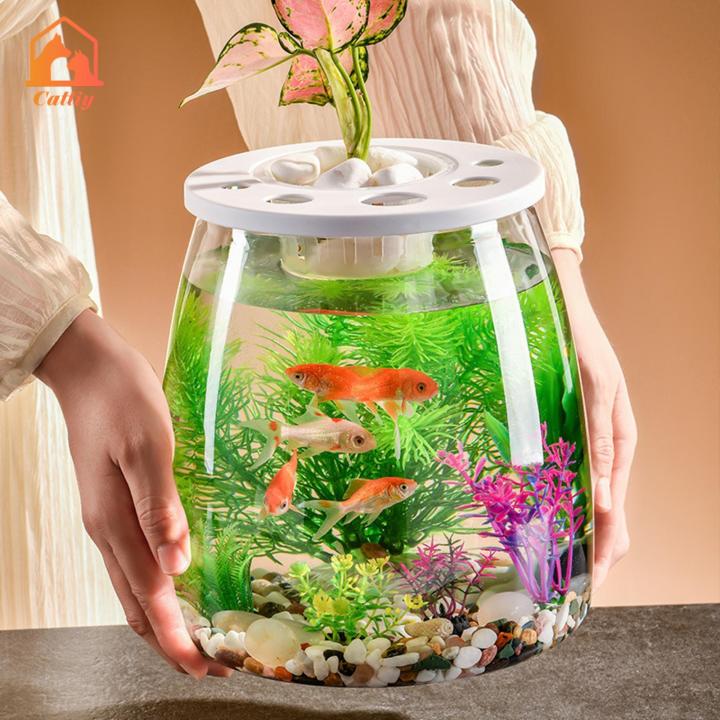Cattiy Fish Bowl with Hollow Top Cover Creative Fish Tank Pot