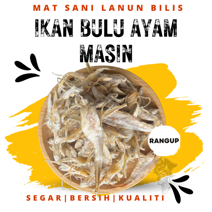 Ikan Bulu Ayam Masin Tanjung Dawai | Dried Salted Fish | Lazada