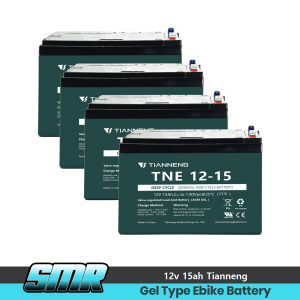 12v 15ah High Quality Ebike Battery Tianneng Brand / Deep Cycle / AGM GEL battery /Maintenance Free/ Romai/ Nwow