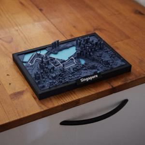 Singapore Formula One (F1) Night Track Art Collection Christmas Gift Idea