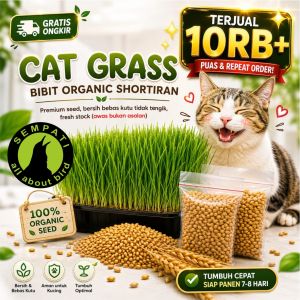 SEMPATI Benih Rumput Kucing Cat Grass Wheat Grass Seed 50gr Biji Gandum Shortiran Premium Grade A Bibit Microgreen Organik Makanan Kucing Kitten Adult Hairball Hamster Kelinci Sugar Glider