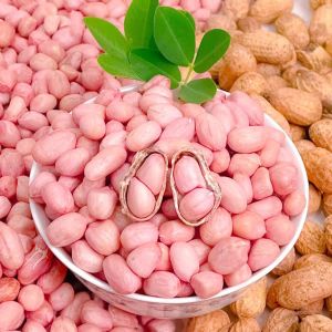 Peanuts Shellless Fresh Peanut Nut 新鲜花生坚果