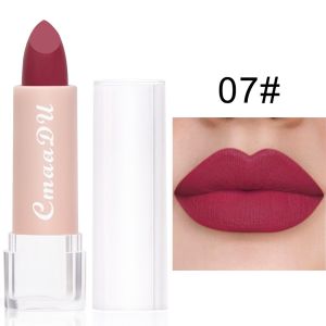 SPARAK Long Lasting Matte Lipstick 15 Color Waterproof Red Lip Stick Fashion Not Fading Velvet Lipsticks Women
