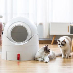 Nhà vệ sinh cho mèo Mioo cao cấp chính hãngNhà vệ sinh cho chó mèo dọn vệ sinh bán tự động dọn sạch chỉ bằng 1 thao tác đơn giản quá trình luôn được khép kín tránh mùi hôi và giữ vệ sinh tuyệt đối nhà vệ sinh cho mèo size lớn