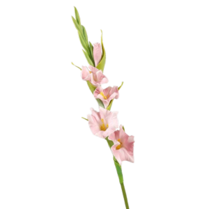 COUPLECOL PU Cành gladiolus nhân tạo Thủ công Nghệ thuật hoa Hoa gladiolus mô phỏng Trang trí bình hoa Tự làm Cảm ứng thật Hoa giả Trang trí tiệc ngày lễ