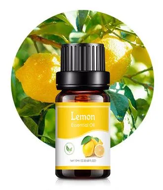 10ml Aroma Essential Oils // Water-soluble for Diffuser Aromatherapy //100% Pure Plant Extracted