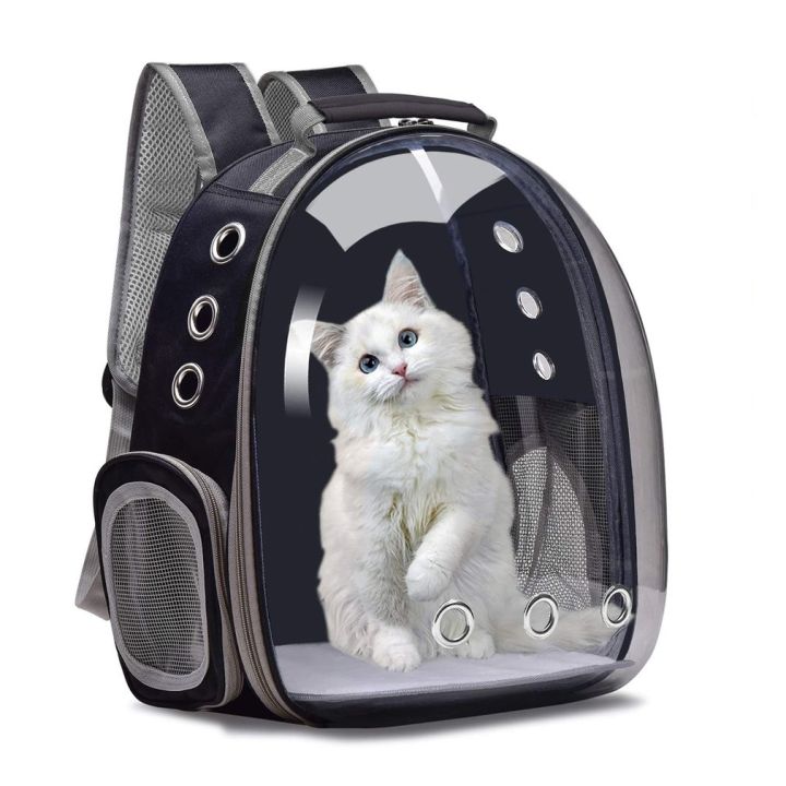 Lazada clearance cat carrier