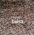 ( 80 Butir ) Benih Biji Pohon Kayu  Balsa Putih | Ochroma Pyramidale. 