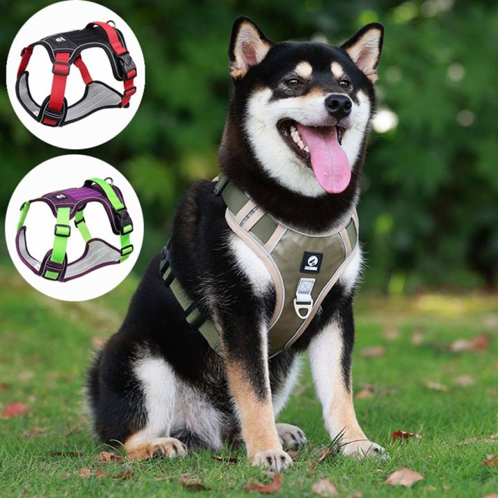 CUTE ELVES Adjustable Safety Outdoor Walking No Pull Easy Control Pet ...