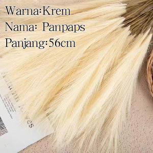 12 buah Buket Rumput Pampas Buatan 56cm Dekorasi Pesta Dekorasi Dalam Ruangan