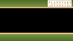 Planetary Herbals Triphala Internal Cleanser 1000mg for GI Tract Wellness - 180 Tablets