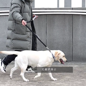 Chó phản quang khai thác Dây Xích doga lớn khai thác chó khai thác Dây dắt chó Dây Xích Chó phản quang cho đi dạo đêm