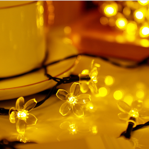 Dây Đèn Led Hoa Mai Hoa Đào 6m-40 Bóng Chớp Màu Trang Trí Lễ Noel Giáng Sinh Tết Party
