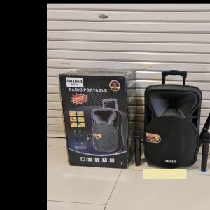 Speaker Portable Aiwa 12 inch isi 2 mic wirelles pegang2